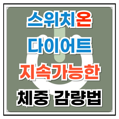 스위치온 다이어트 건강하고 지속 가능한 체중 감량법