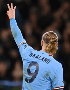 EPL 신기록 엘링 홀란 나이 프로필