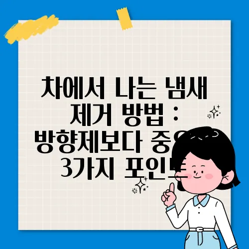 차에서 나는 냄새 제거 방법 : 방향제보다 중요한 3가지 포인트