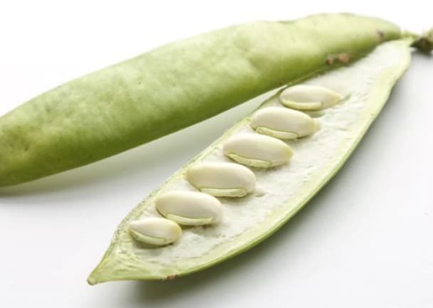 잠 잘 오는 커피 개발한 스타트업...벌써 20만팩 돌파