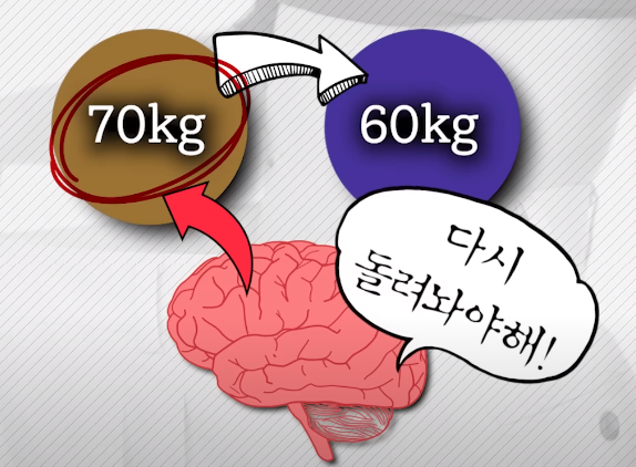 요요원인 설명
