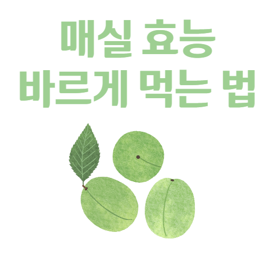 매실 효능과 먹는 법