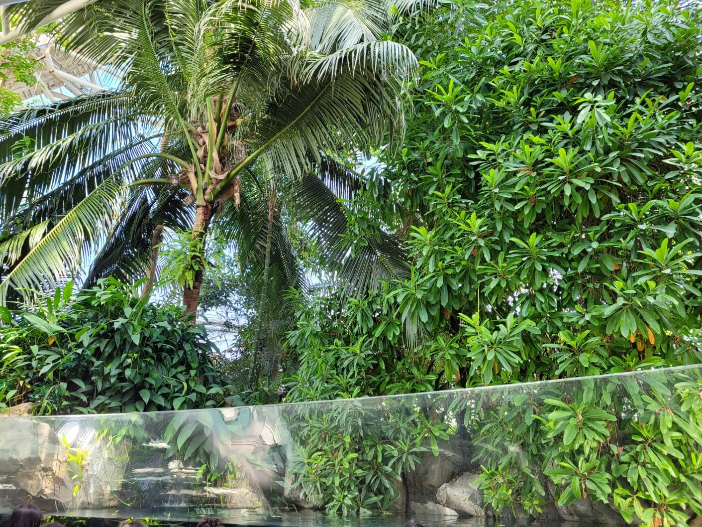 열대관 열대우림