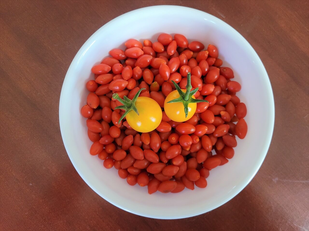 그릇에 담겨있는 구기자