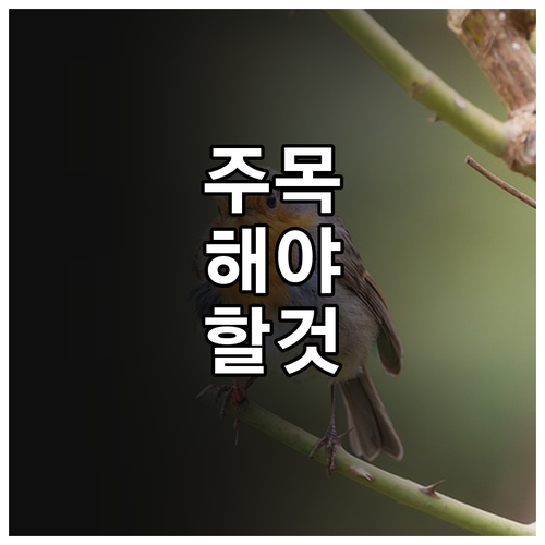 미혼모부 2025 강서구 양육지원 대..