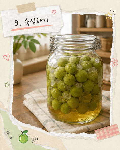 매실장아찌 담그는법