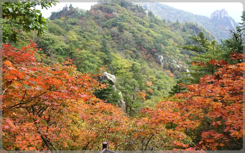 설악산 단풍, 절정 시기_3