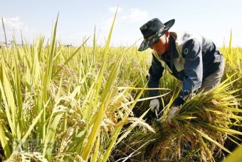 공익직불금 신청하기
