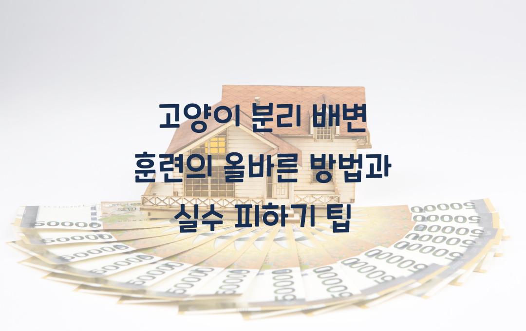 고양이 분리 배변 훈련의 올바른 방법