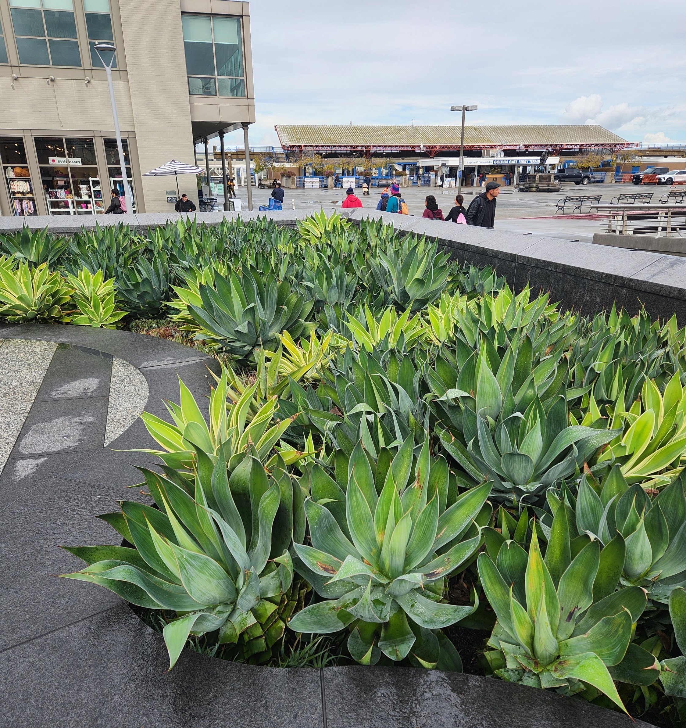 피어 부둣가 앞 모습을 보여주는 이미지