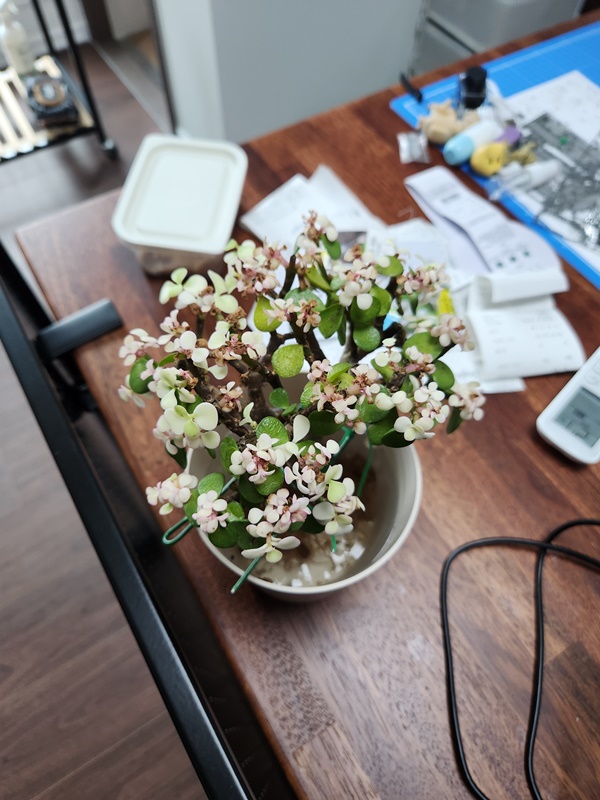 잎이 떨어지기 시작한 아악무