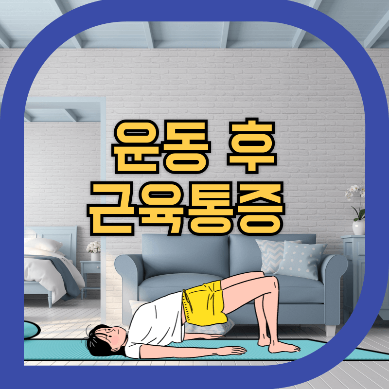 홈트 운동 이미지