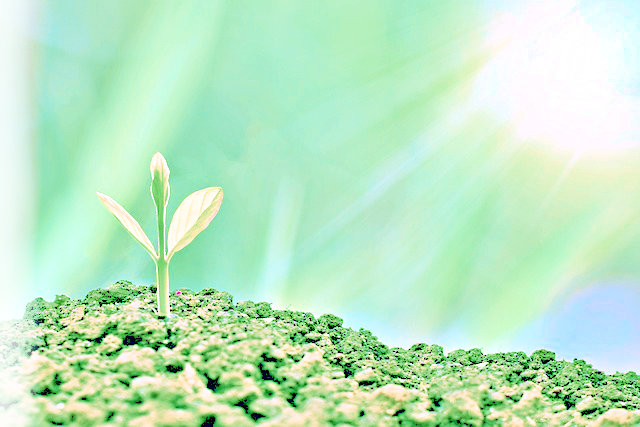 구글블로그 부업총정리