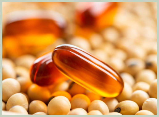 레시틴이 풍부한 대두