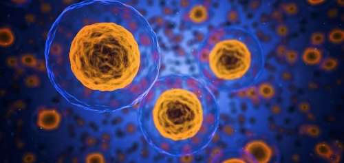 공복 혈당 식후