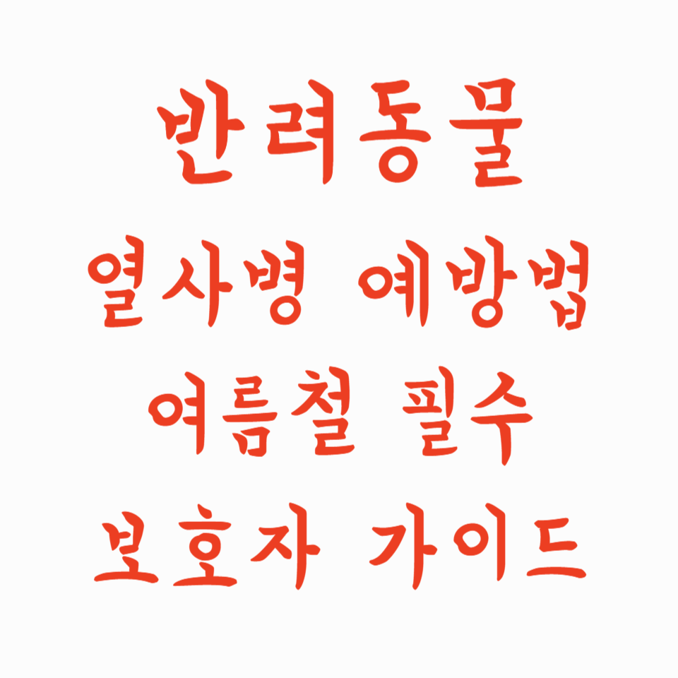 반려동물 열사병 예방법 완전정복 - 여름철 필수 보호자 가이드
