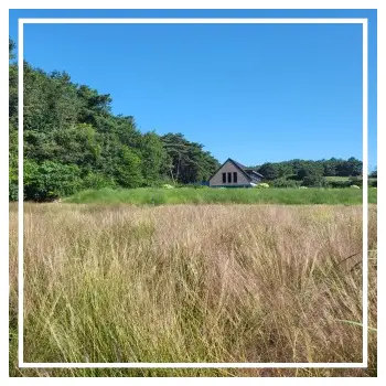 고창 핑크뮬리축제 청농원