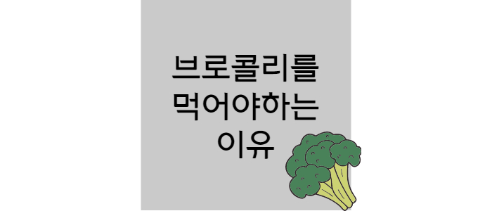 이미지-썸네일