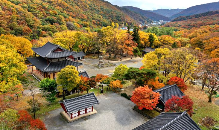 부여 가볼만한곳 베스트10
