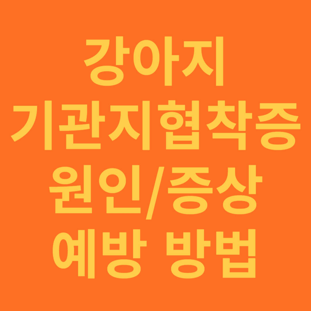 강아지 기관지협착증 원인과 증상, 예방방법