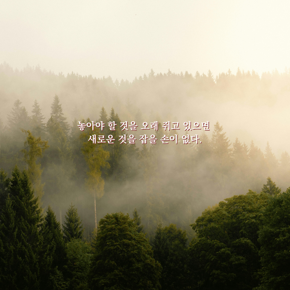 놓아야 할 것을 오래 쥐고 있으면 새로운 것을 잡을 손이 없다. - 감성 글귀 이미지