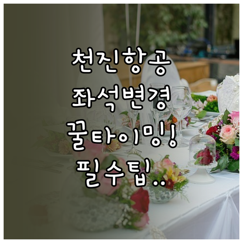 천진항공 좌석 변경 최적의 타이밍과 ..