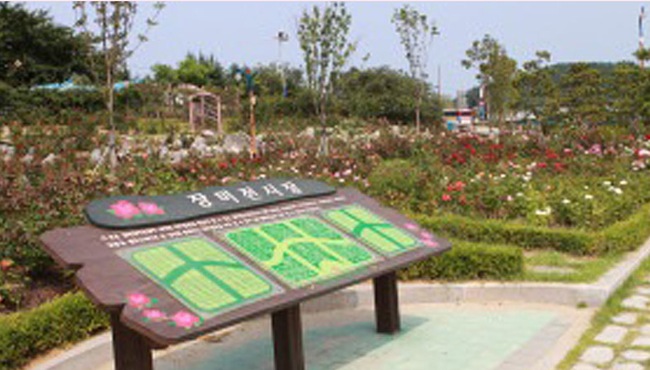 삼척 장미축제 일정 