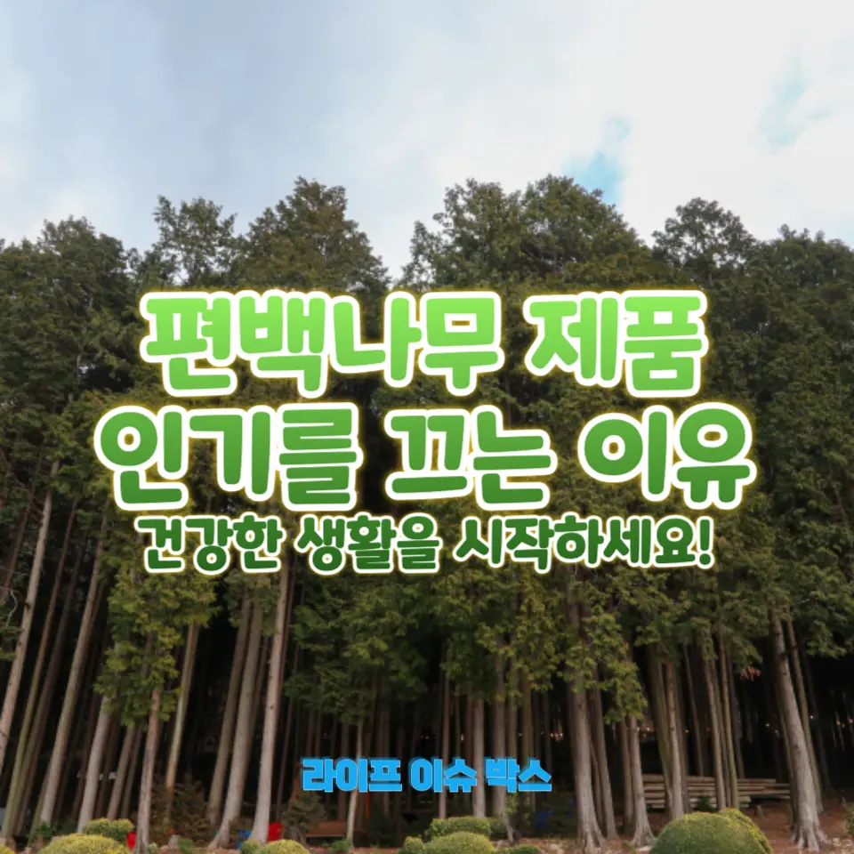 편백나무 효능