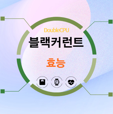 블랙커런트 효능 탐구