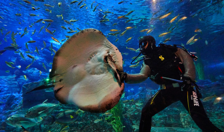 부산 여름 여행 필수! 시원한 야외 장소 BEST 5 추천 가볼만한곳