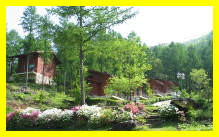 국립자연휴양림 예약&amp;#44; 국립자연휴양림 예약 성수기 추첨&amp;#44; 국립자연휴양림 추첨&amp;#44; 국립자연휴양림 성수기 추첨&amp;#44; 국립자연휴양림 성수기 예약 추첨&amp;#44; 국립자연휴양림 예약 신청방법&amp;#44; 국립자연휴양림 예약통합시스템&amp;#44;신시도 국립자연휴양림&amp;#44; 국립자연휴양림 위약금&amp;#44; 국립 자연휴양림 예약&amp;#44; 국립 자연휴양림 성수기 예약&amp;#44; 국립 자연휴양림 성수기 추첨&amp;#44; 국립 자연휴양림 성수기 추첨 예약&amp;#44; 국립 자연휴양림 예약 성수기 추첨&amp;#44; 국립 자연휴양림 예약 신청방법&amp;#44; 국립 자연휴양림 성수기 추첨 신청방법&amp;#44; 국립 자연휴양림 취소 수수료&amp;#44; 국립 자연휴양림 예약 취소 수수료&amp;#44; 국립 자연휴양림 장애인 할인&amp;#44; 국립자연휴양림 성수기 예약일정