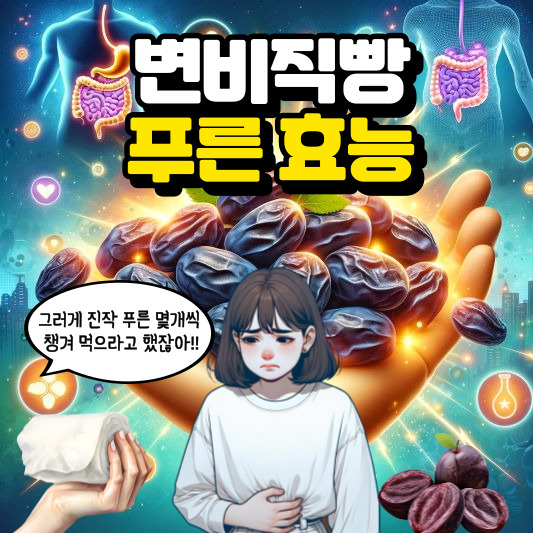 변비직빵 푸룬