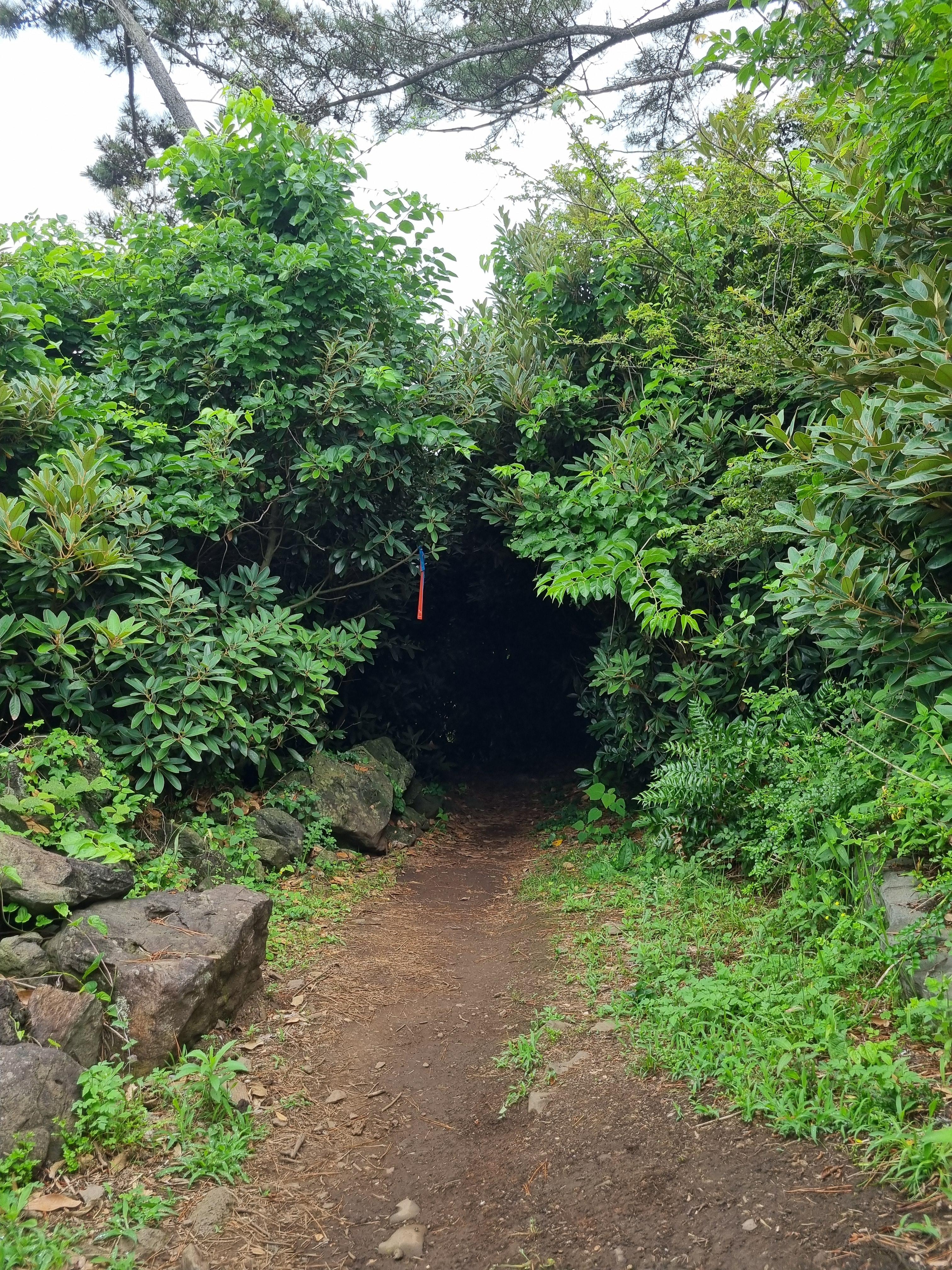 Jeju Olle Trail 18