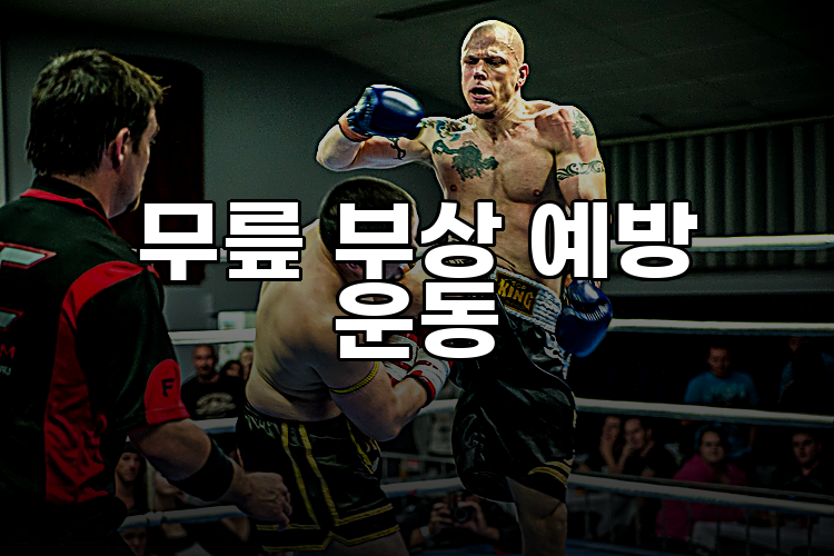 무릎 부상 예방 운동