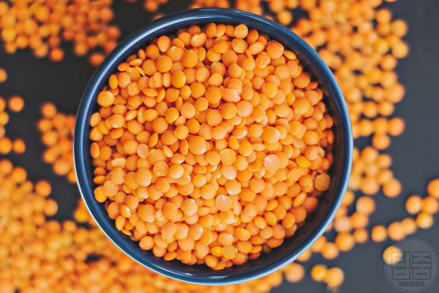 암과 싸우는 음식 암예방 음식 렌즈콩 효능