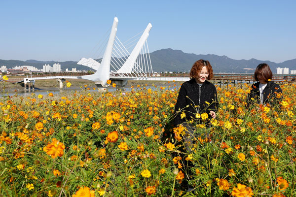 강진 여행 후기, 반값여행