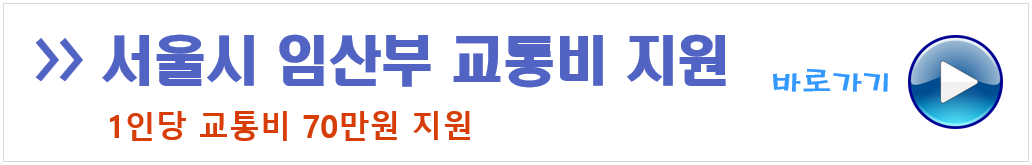 임산부 교통비 지원