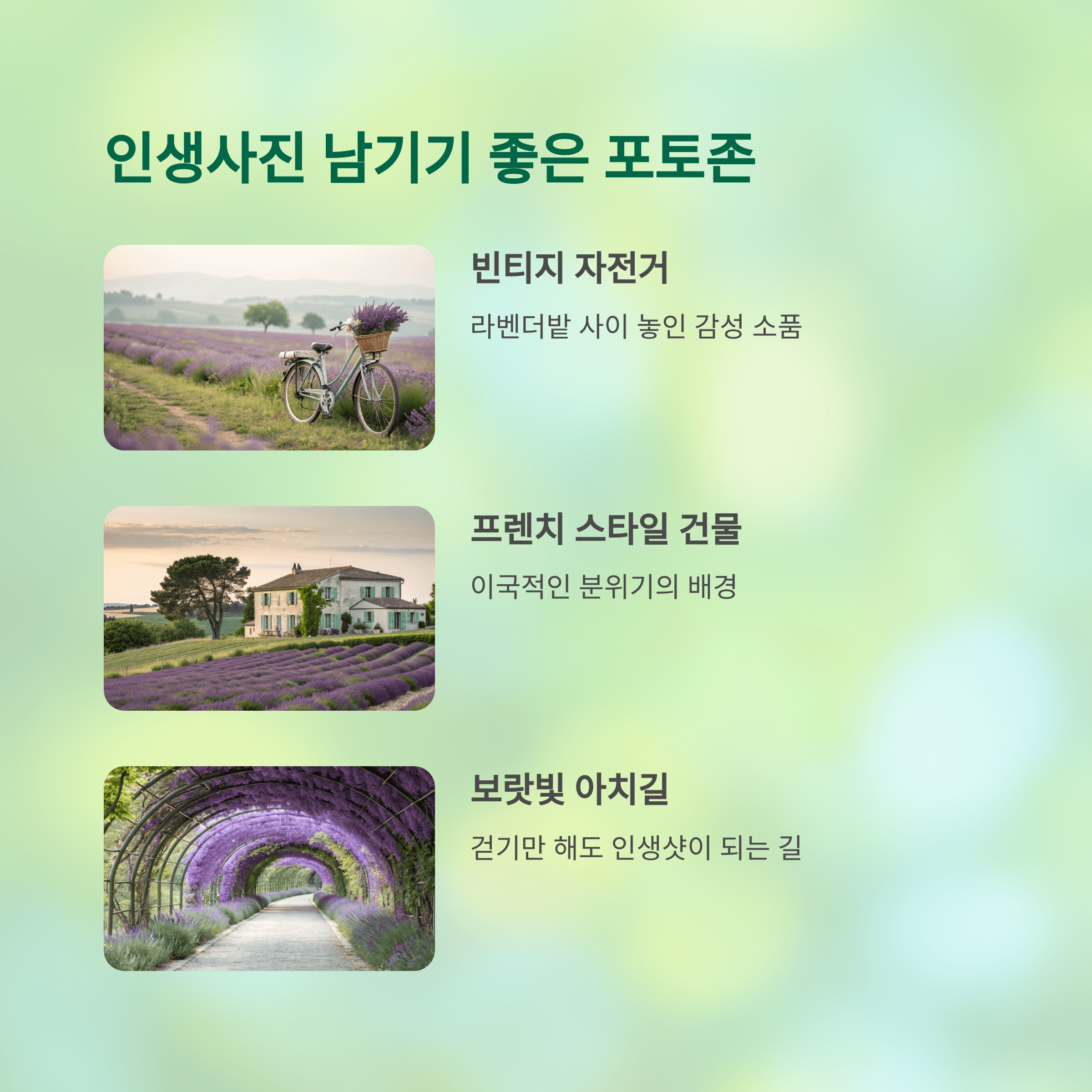 라벤더밭 안에 마련된 포토존 소개 - 자전거, 프렌치 건물, 아치길