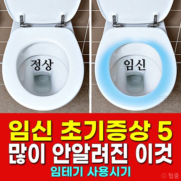 임신초기증상 임신극초기증상 임신테스트기 사용시기