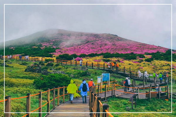 여행로그데이터