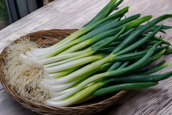 면역력 강화에 좋은 파