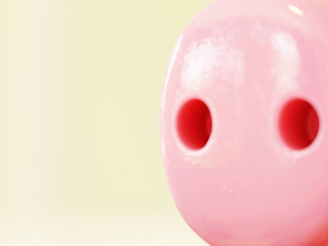 은행신용조회 발급방법 발급기관