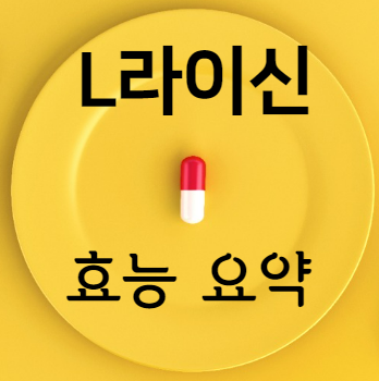L라이신 효능 요약