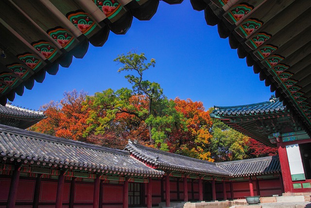 경복궁 창덕궁