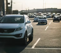주정차위반과태료 조회 및 납부방법
