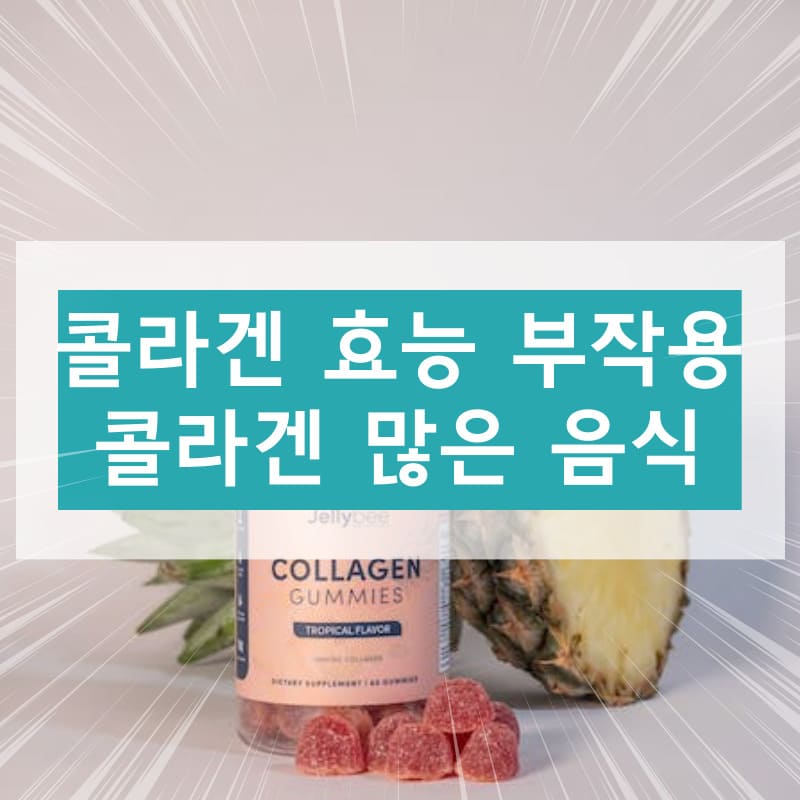콜라겐 효능 부작용 콜라겐 많은 음식