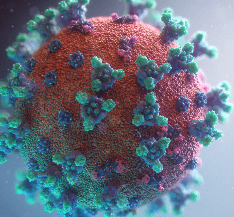 자가격리지원금-사진24