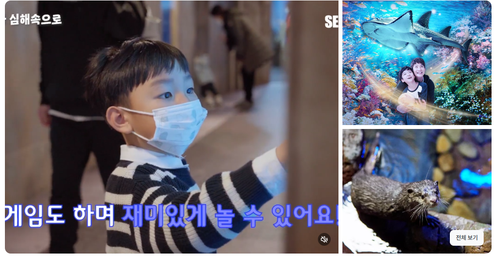 부산 아쿠아리움 최대 할인 방법 (최저가 입장료 구매)