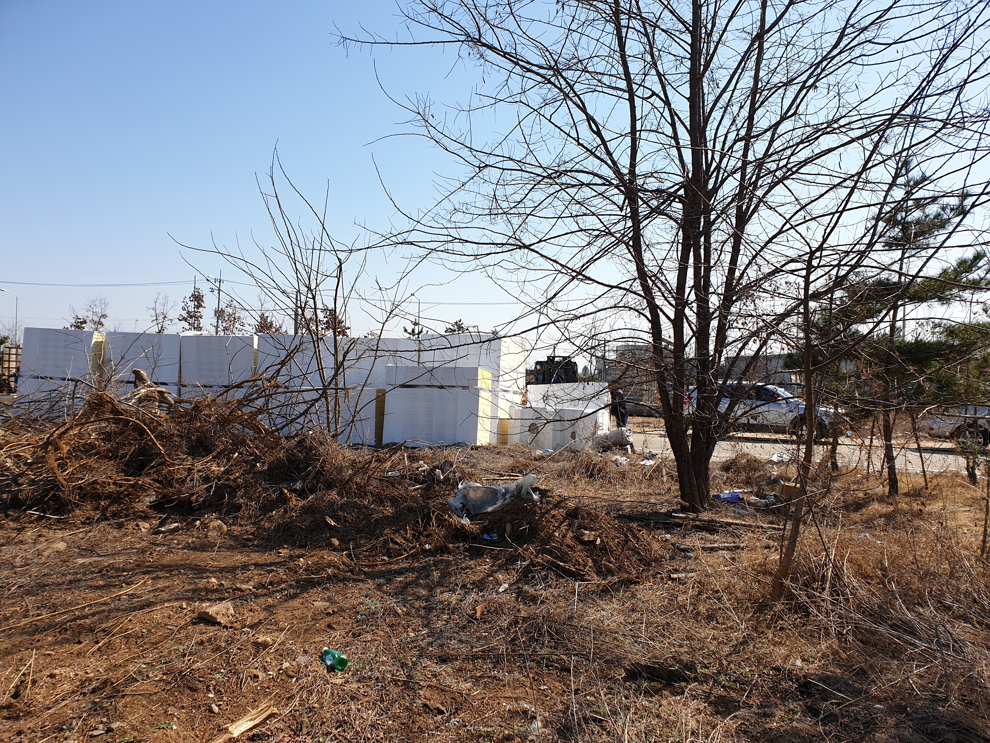 빈 필지의 전경