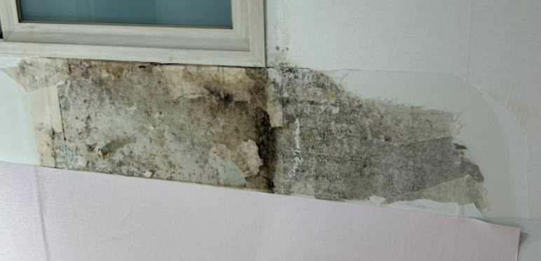 원룸도배곰팡이제거